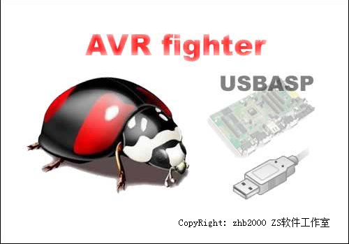 AVR fighter